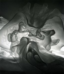 2012 Abstract 1st Place, Maranda Cavin, Olympia