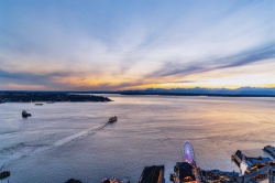 2025 Landscape 5th Place, Pasha Strok, Woodinville