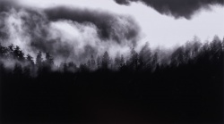 2025 Landscape Finalist, Maxine Caudri, Issaquah