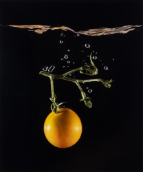 2025 Still Life Finalist, Mats Jensen, Newport