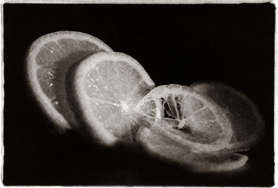 2014 Still Life 2nd Place, Serena Southwick, Kentridge