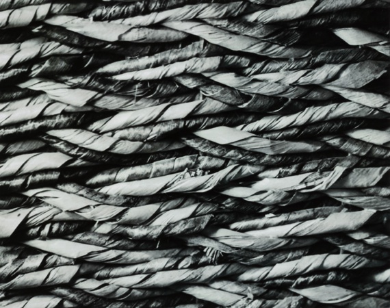 2024 Abstract Finalist, River Muller, Hazen