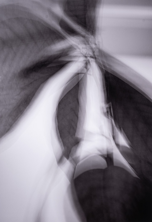 2025 Abstract Finalist, Nathan Choy, Inglemoor