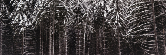 2026 Landscape 2nd Place, Emmie Nay, Inglemoor