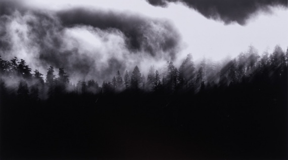 2025 Landscape Finalist, Maxine Caudri, Issaquah