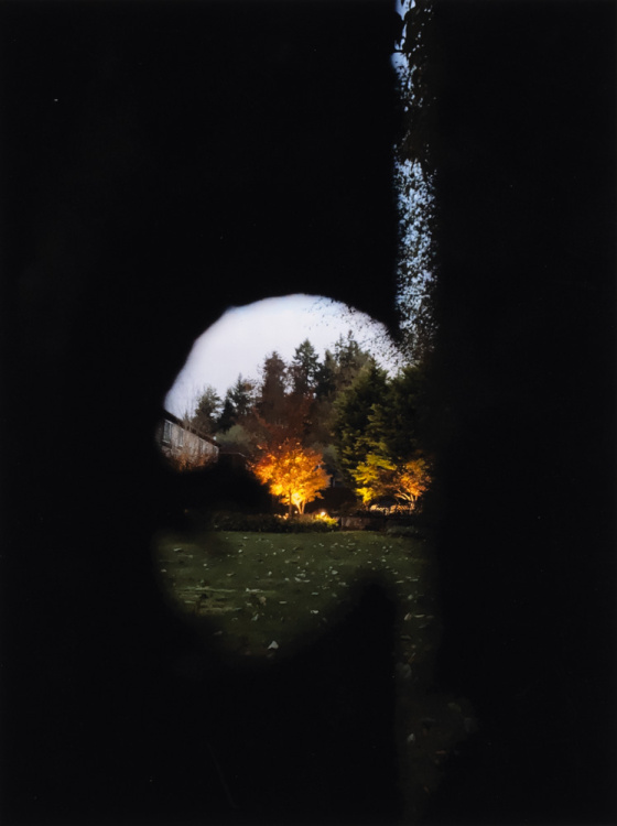 2024 Landscape Finalist, Victoria Cicos, Inglemoor