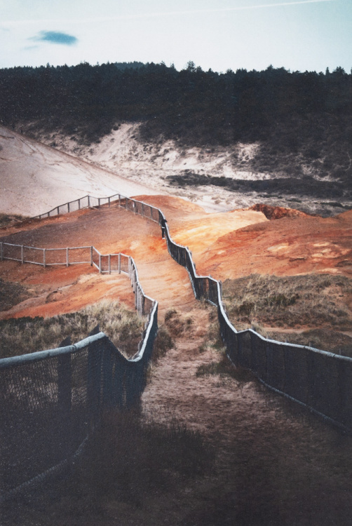 2024 Landscape Finalist, Trevor Brown, Skyview