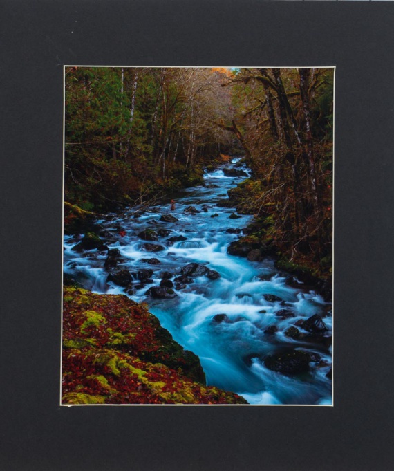 2019 Landscape Finalist, Tayler Dodge, South Kitsap