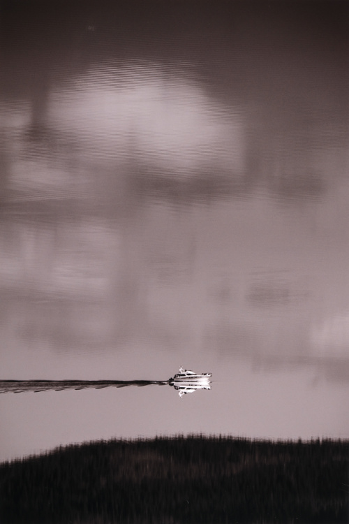 2026 Landscape Finalist, Ansh Gupta, The Overlake School