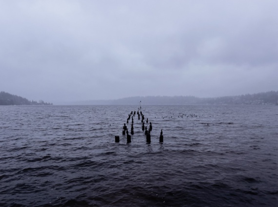 2025 Landscape Finalist, Maya O'Neill, Inglemoor