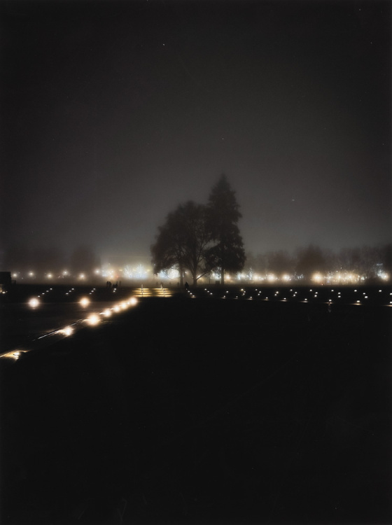 2024 Landscape Finalist, Sophie Kang, Newport