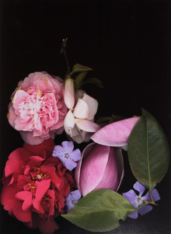 2026 Still Life 5th Place, Olivia Lindhout, Seattle Academy of the Arts