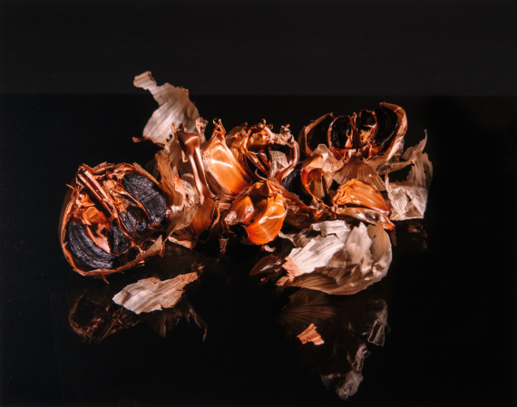 2026 Still Life Finalist, Aubrey Martin, Kentridge