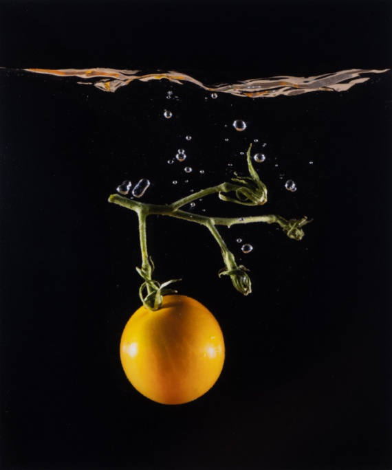 2025 Still Life Finalist, Mats Jensen, Newport